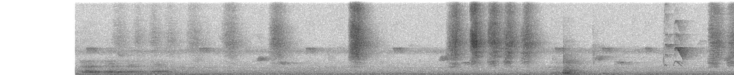 drongo kouřový - ML646453151