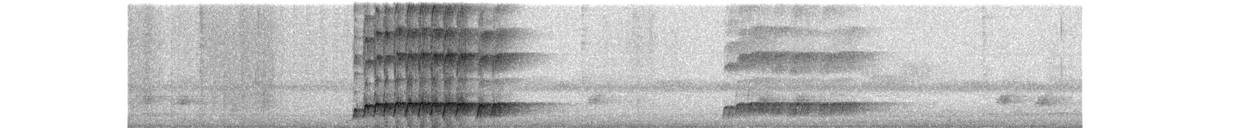 kukačka koel - ML646453271