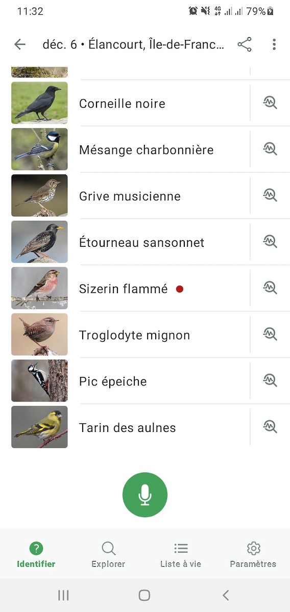 Redpoll - ML646453449