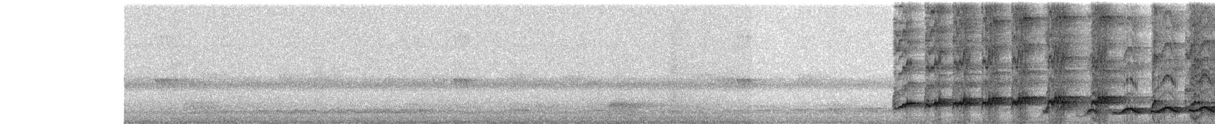 kukačka koel - ML646453704