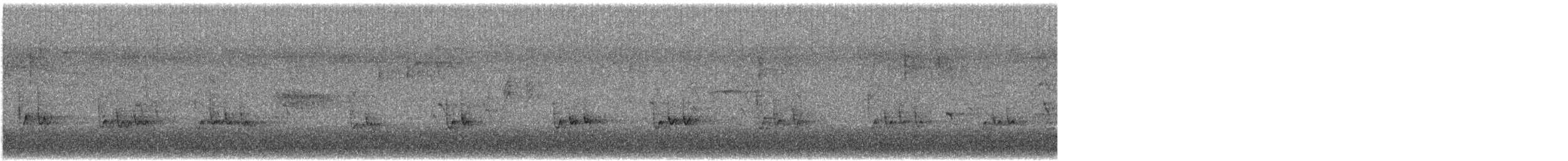 brhlík lesní - ML646453766