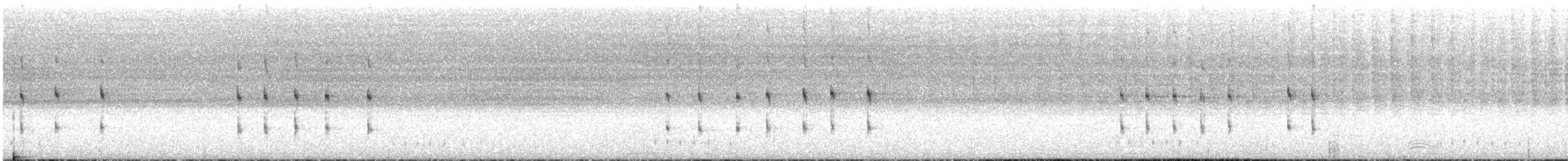 rákosník šedavý - ML646453836