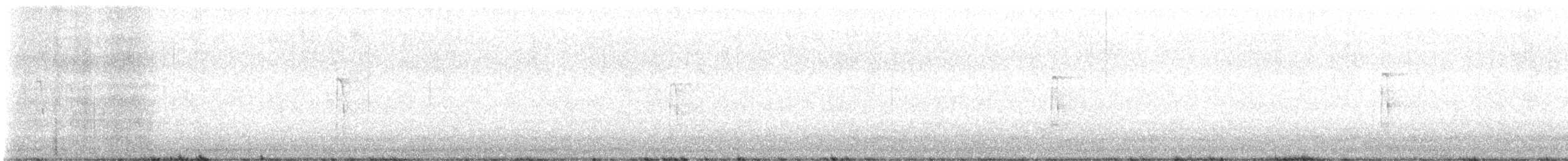 strakapoud americký - ML646454032