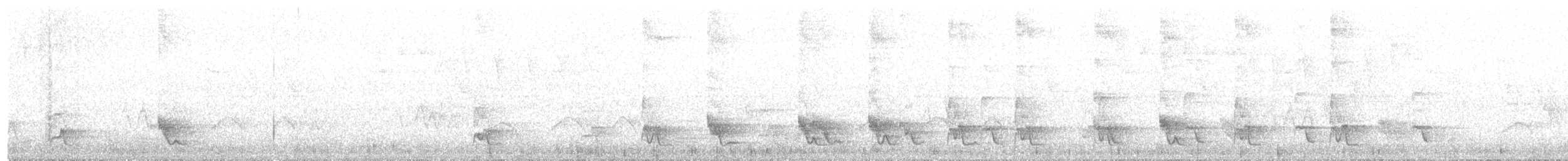 Swallow-tailed Manakin - ML646454255