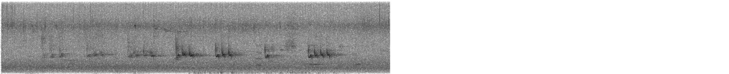 brhlík lesní - ML646454286