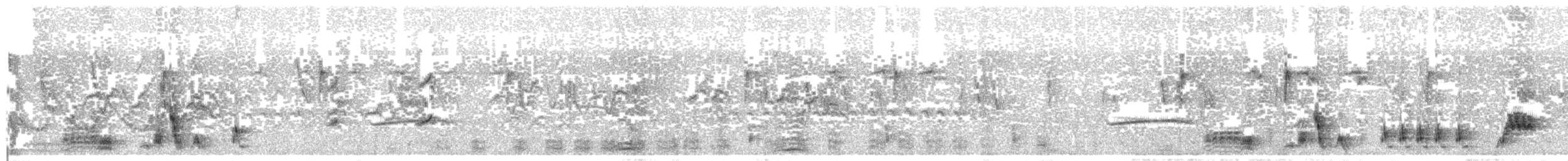 rákosník větší - ML646454295