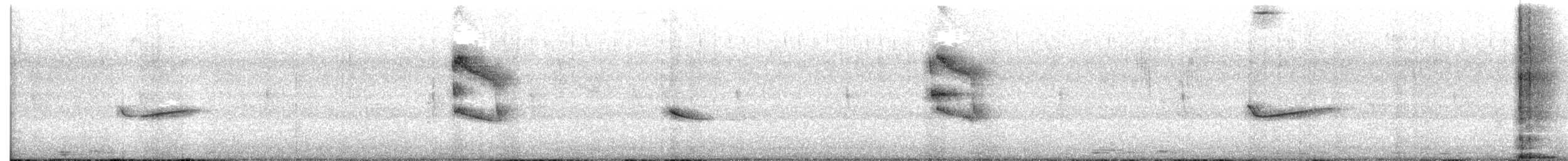 tyranovec východní - ML646454312