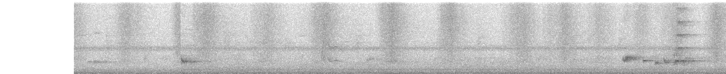 kukačka koel - ML646454357