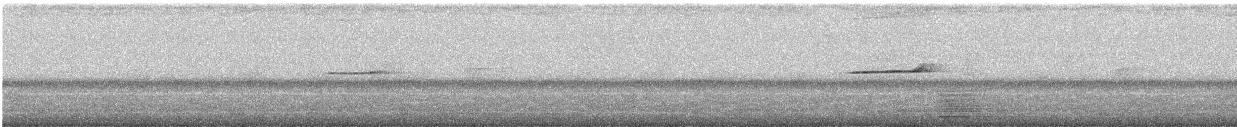 Oriental Magpie-Robin - ML646454489