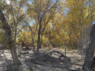 Lytle Ranch Preserve, Washington, Utah, United States - eBird Hotspot