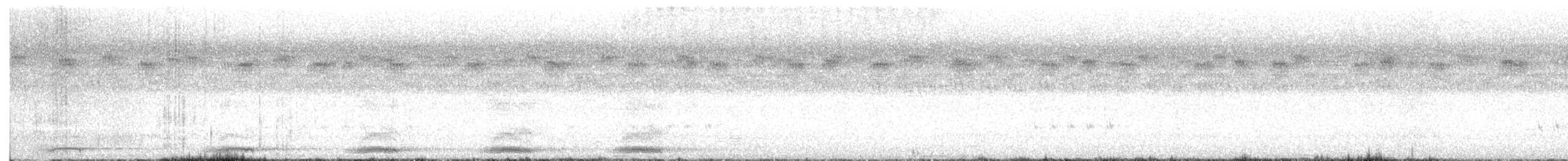 Schalow's Turaco - ML646455306