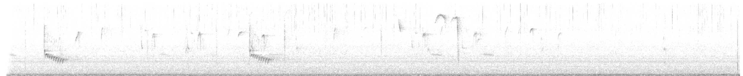 Carolina Wren - ML646455355