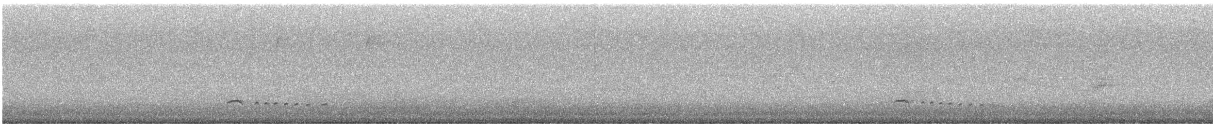 Northern White-fringed Antwren - ML646455583