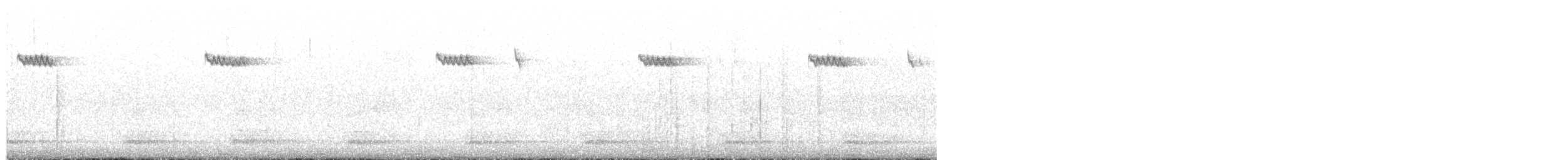 Brown Creeper - ML646455705