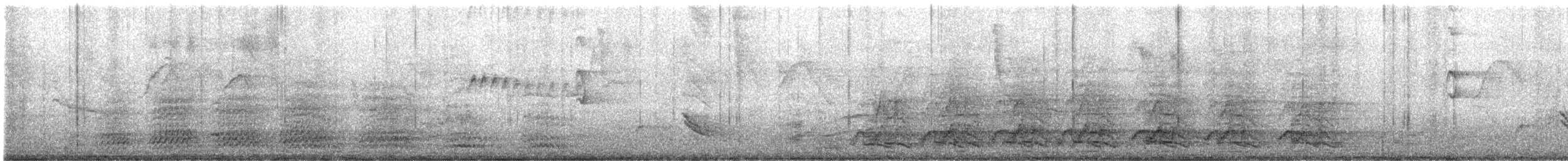 Yellow-crowned Amazon - ML646455803