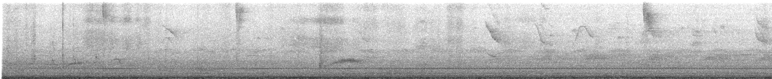 Yellow-bellied Elaenia - ML646455812