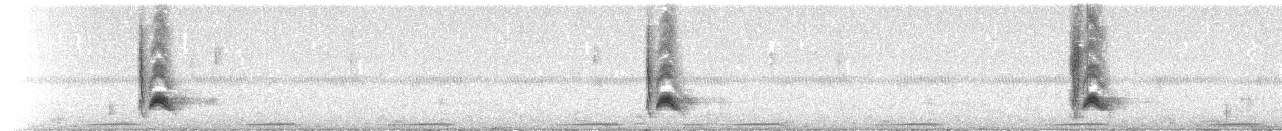 Cassin's Kingbird - ML646456333