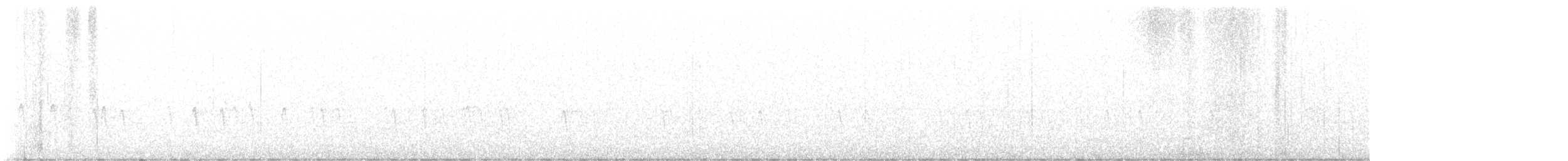 Шишкар ялиновий - ML646456755