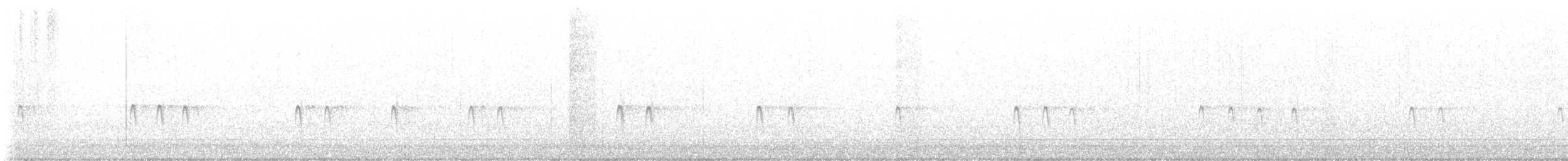 Шишкар ялиновий - ML646456756