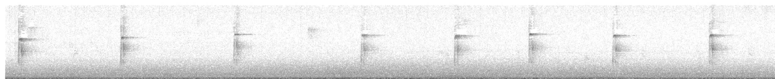 Hairy Woodpecker (Eastern) - ML646456830