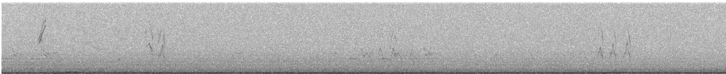 チャバラマユミソサザイ - ML646457004