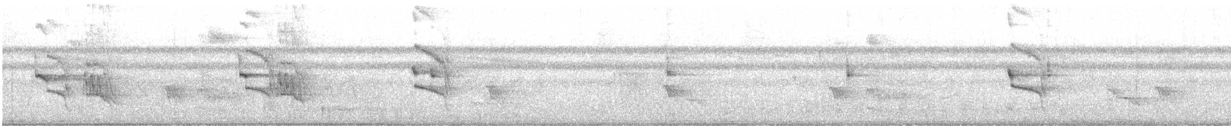 Tyran sociable - ML646457275