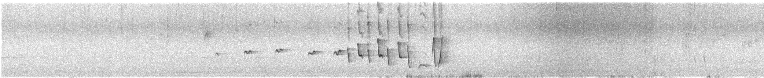 Noisy Scrub-bird - ML646457729