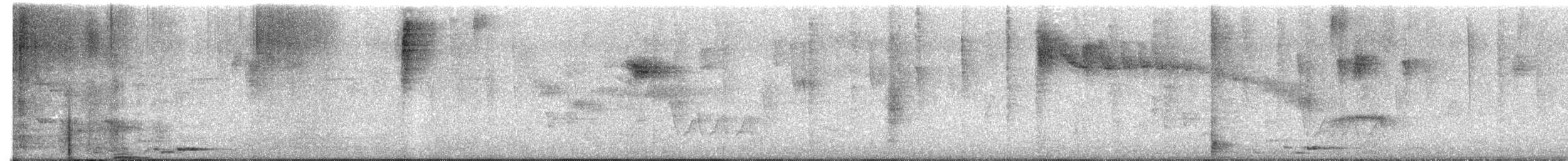 Black-cowled Oriole - ML646457755