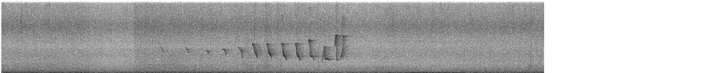 Noisy Scrub-bird - ML646457835