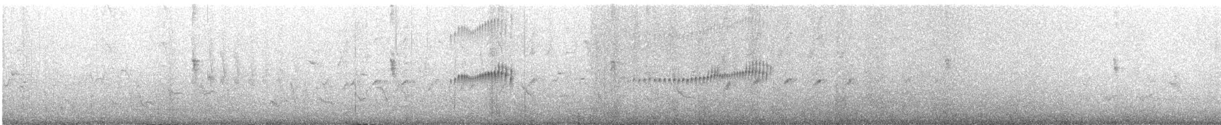 Slender-billed Tyrannulet - ML646457922