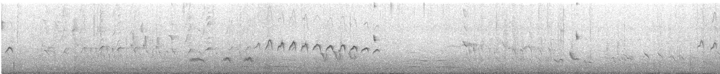 Tropical Gnatcatcher - ML646458123