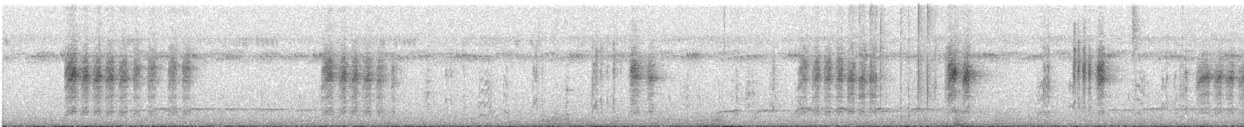 Malagasy Paradise-Flycatcher - ML646458564