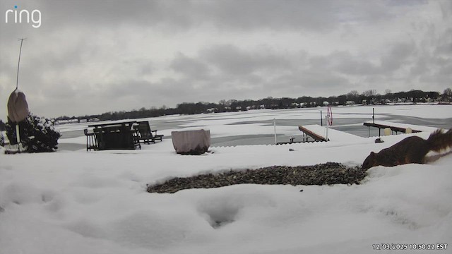 Animals - ML646458803