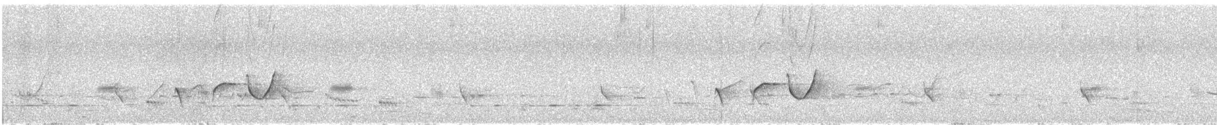 Ріроріро короткодзьобий - ML646459178