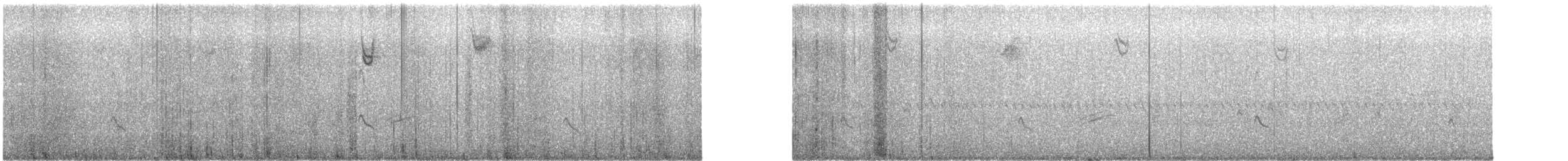 Lesser Yellowlegs - ML646459381