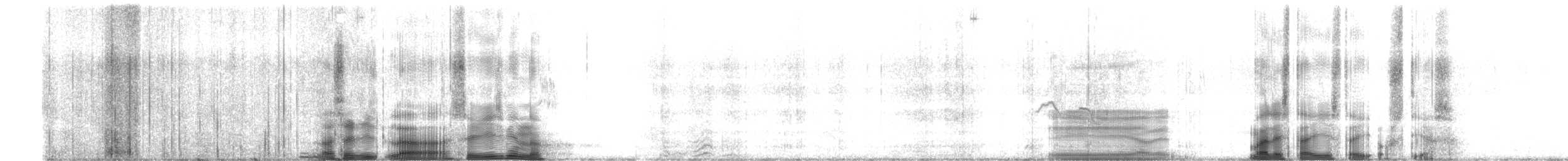 Échasse blanche - ML646459411