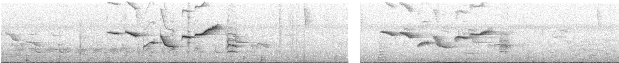 konipas madagaskarský - ML646460041