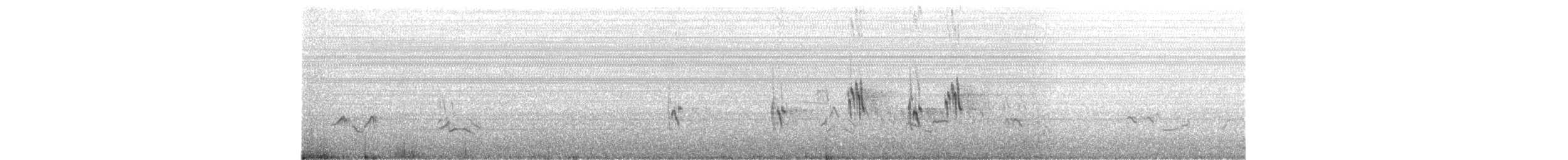 vlaštovka stromová - ML646460530