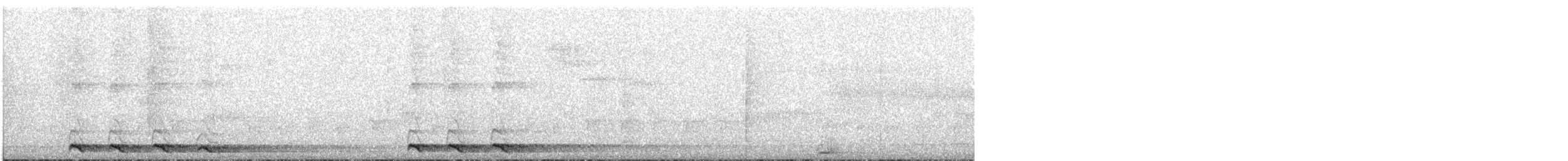 kukačka madagaskarská - ML646460573