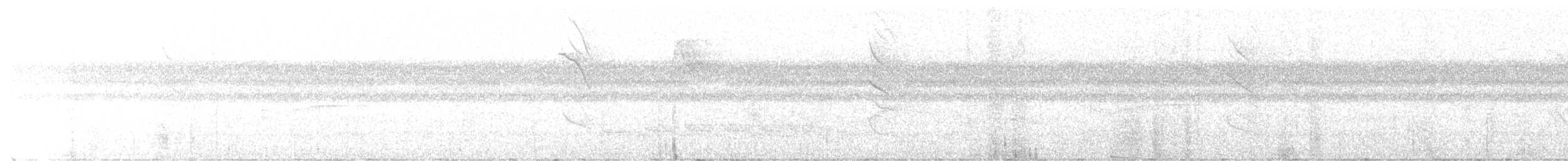 Buff-throated Woodcreeper - ML646461704