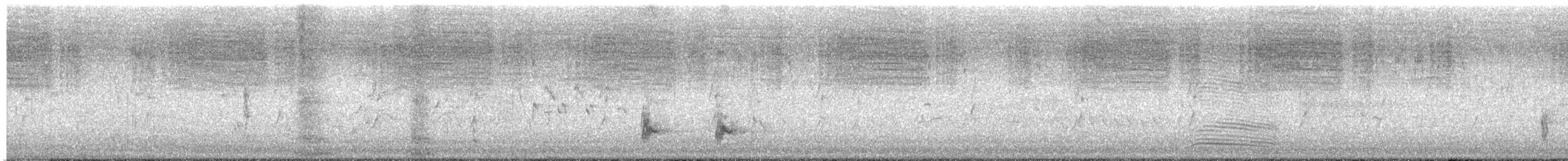 Australian Reed Warbler - ML646461784