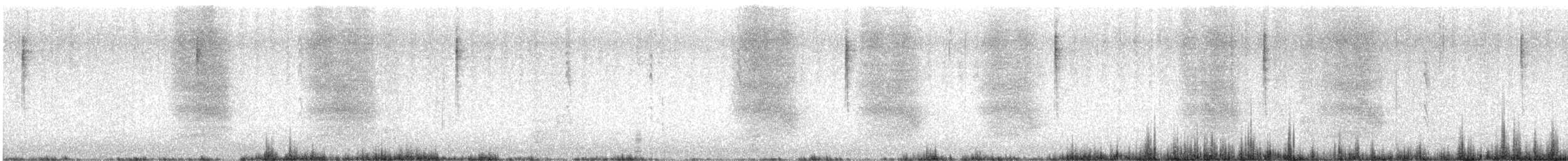 Steller's Jay - ML646461815