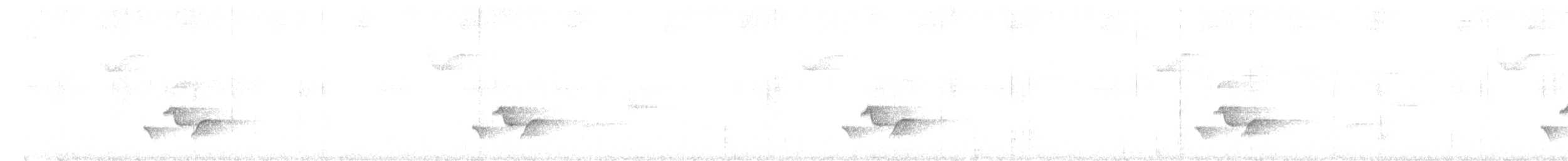 Gray-breasted Wood-Wren (Andean) - ML646461974