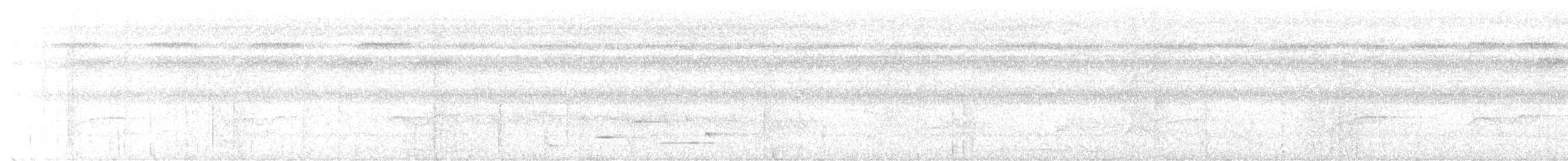 Musician Wren - ML646462030