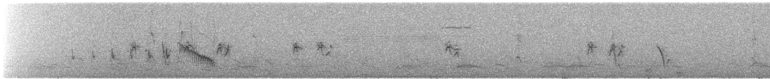 Diuca Finch - ML646462312