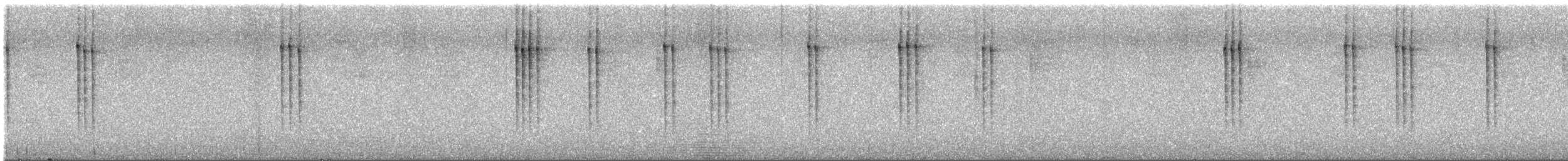 White-eared Hummingbird - ML646462313