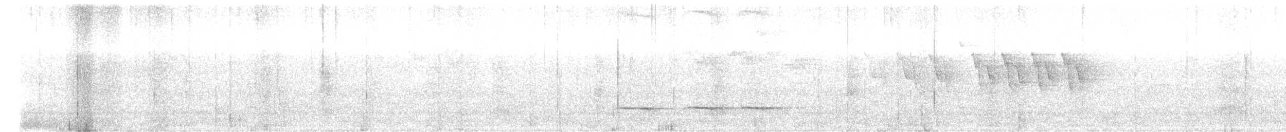 White-bellied Antpitta - ML646462445