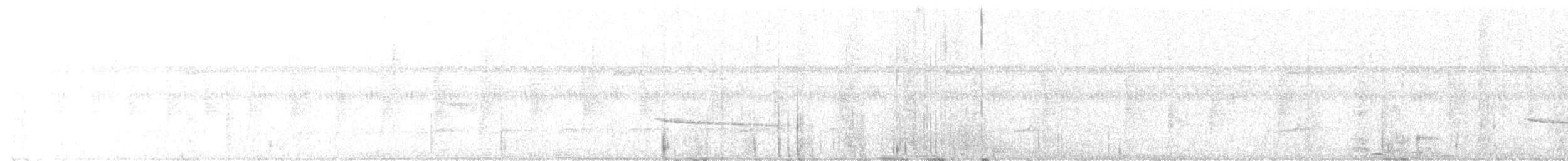 Collared Gnatwren - ML646462524