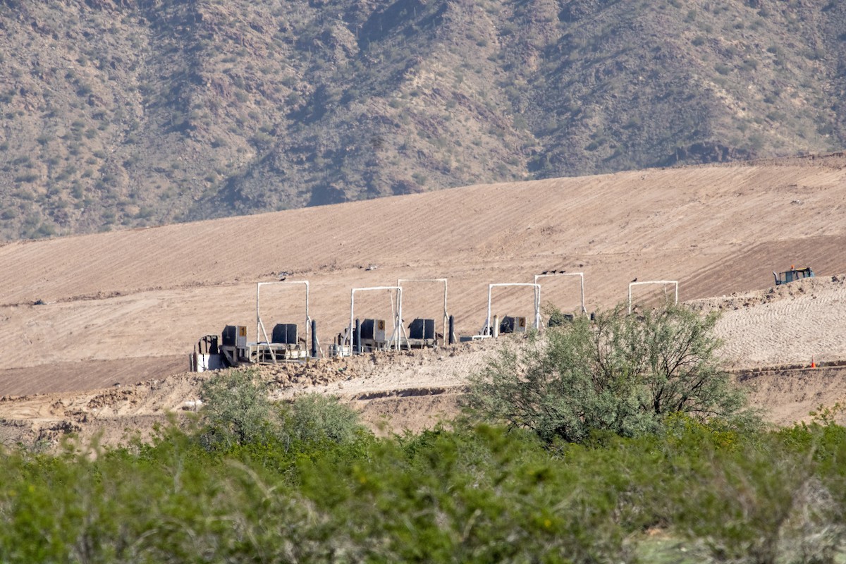 Common Raven - ML646462537