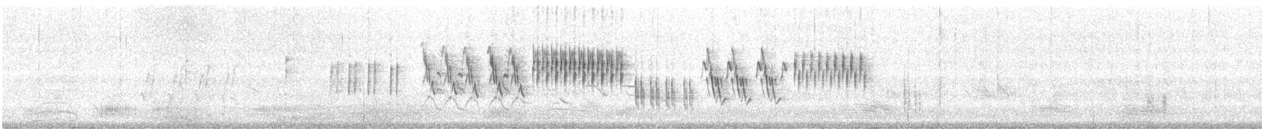 Pallas's Grasshopper Warbler - ML646462713